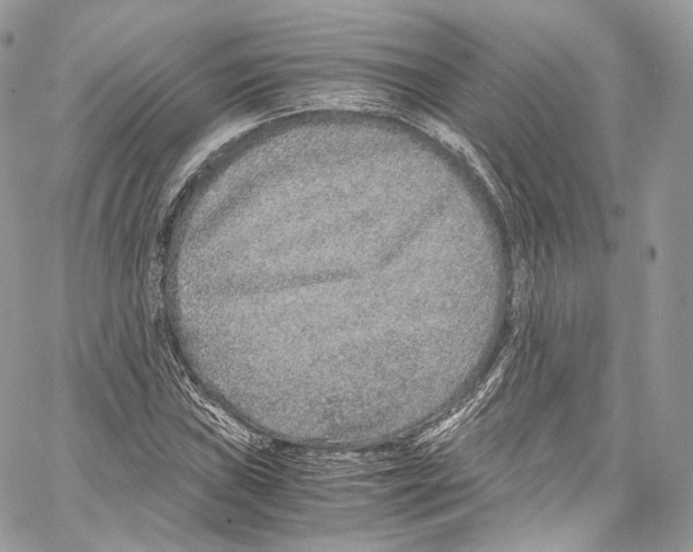 X0000067001019200604241359