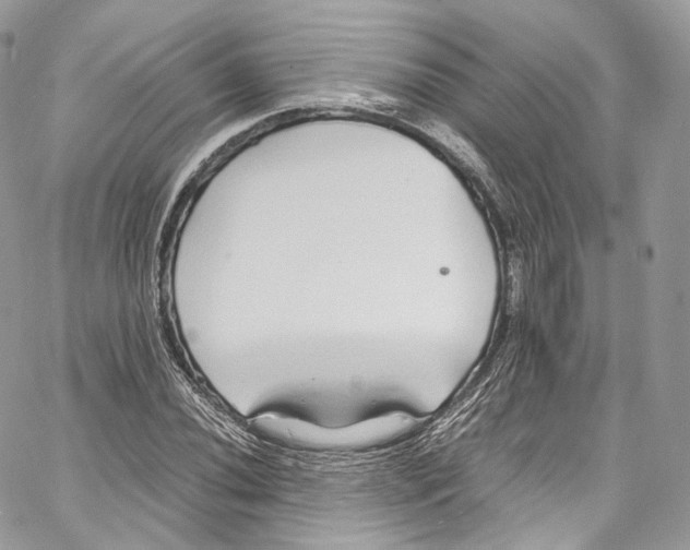 X0000067001020200604241359