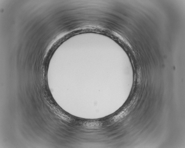 X0000067001021200604241359