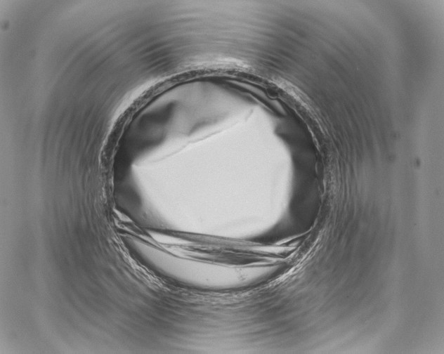 X0000067001022200604241359