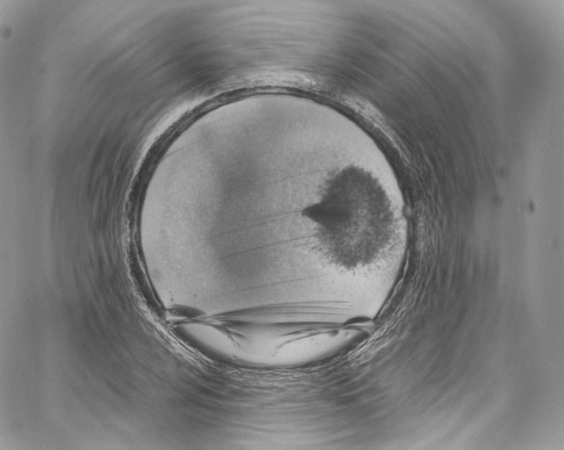 X0000067001024200604241359