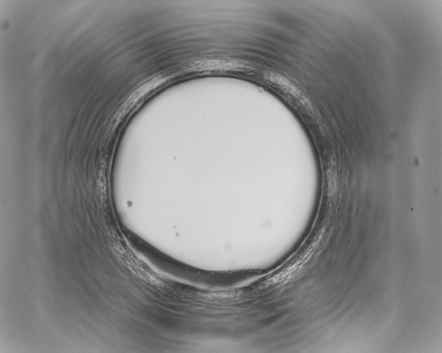 X0000067001025200604241359