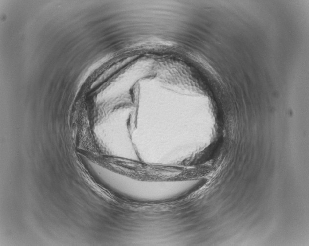 X0000067001026200604241359