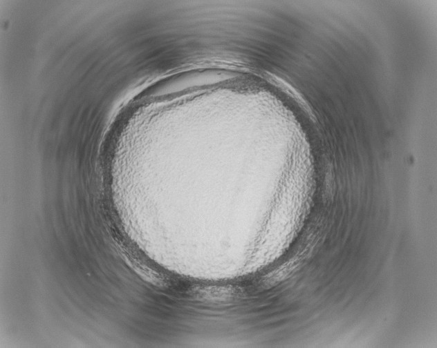 X0000067001027200604241359