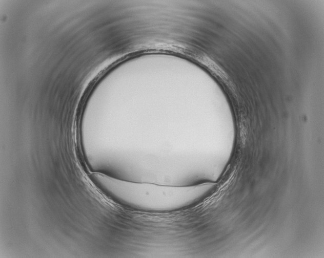 X0000067001028200604241359