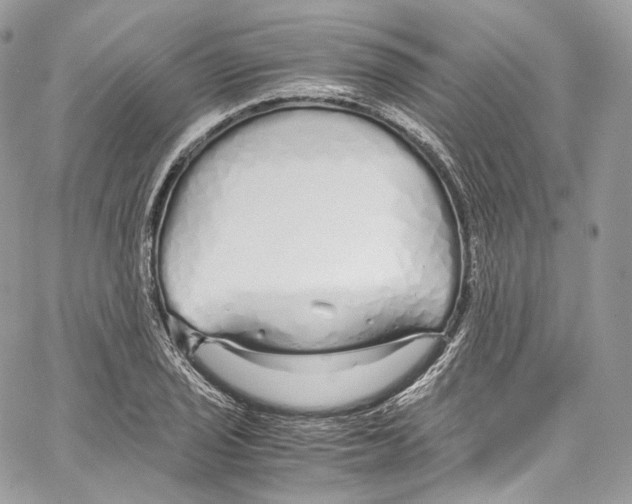 X0000067001029200604241359