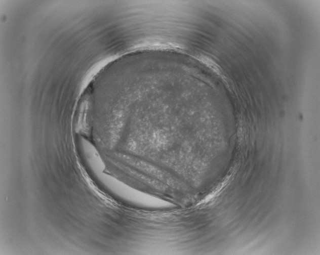 X0000067001030200604241359