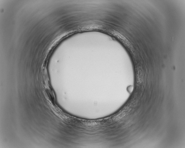 X0000067001031200604241359