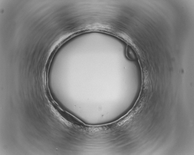 X0000067001032200604241359