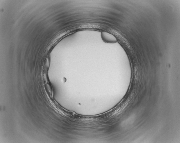 X0000067001033200604241359