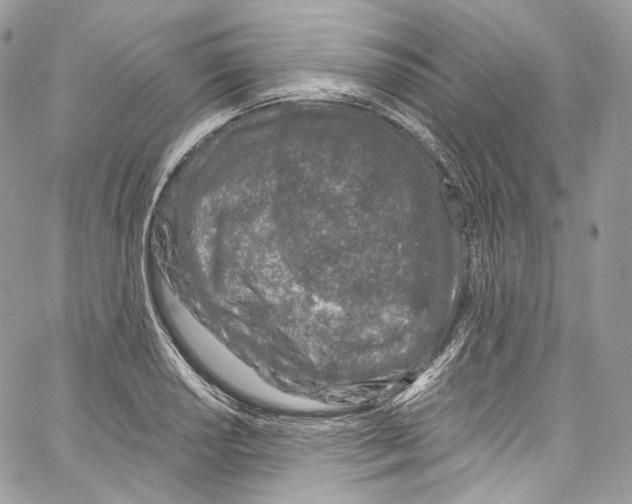 X0000067001034200604241359