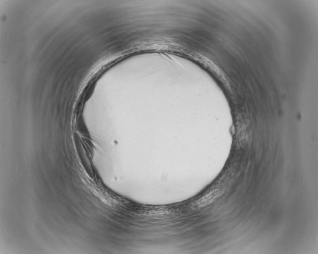 X0000067001035200604241359