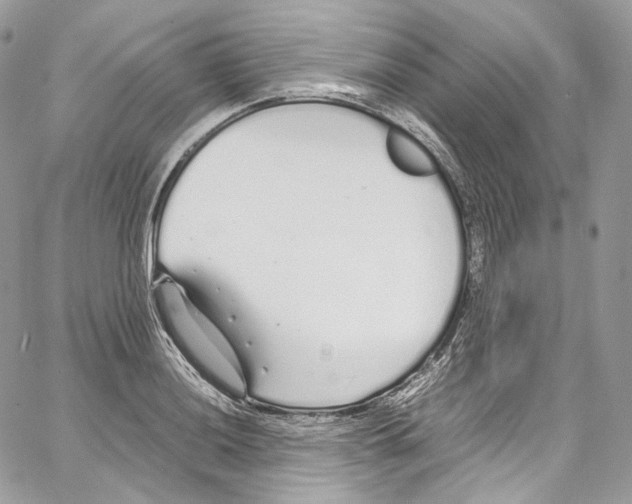 X0000067001036200604241359