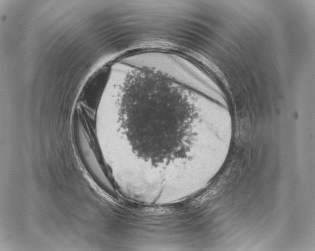 X0000067001037200604241359