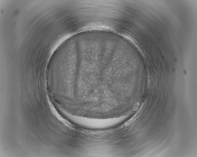 X0000067001038200604241359