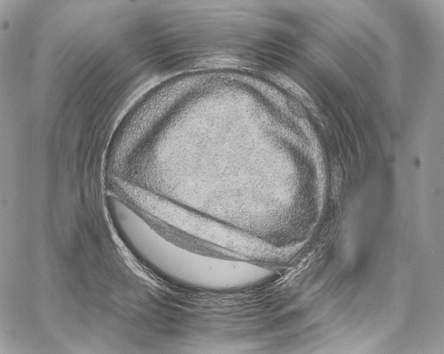 X0000067001039200604241359