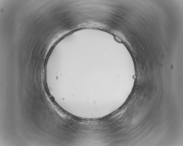 X0000067001040200604241359