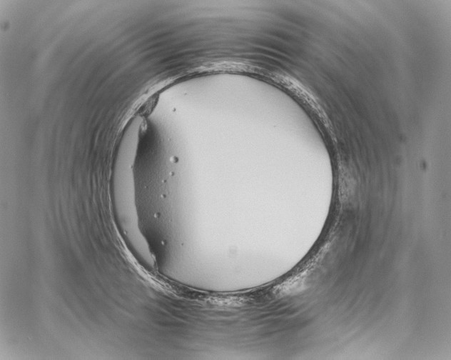 X0000067001041200604241359