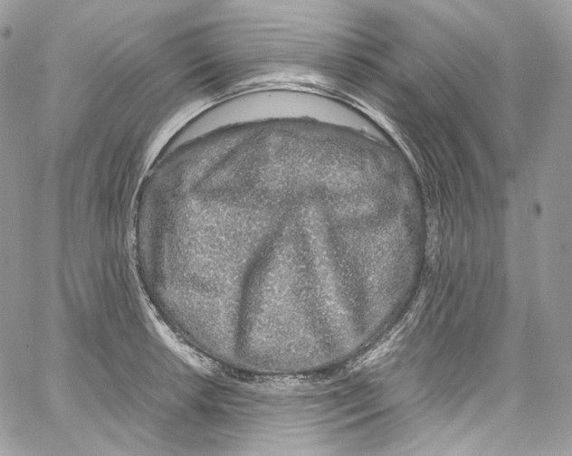 X0000067001042200604241359