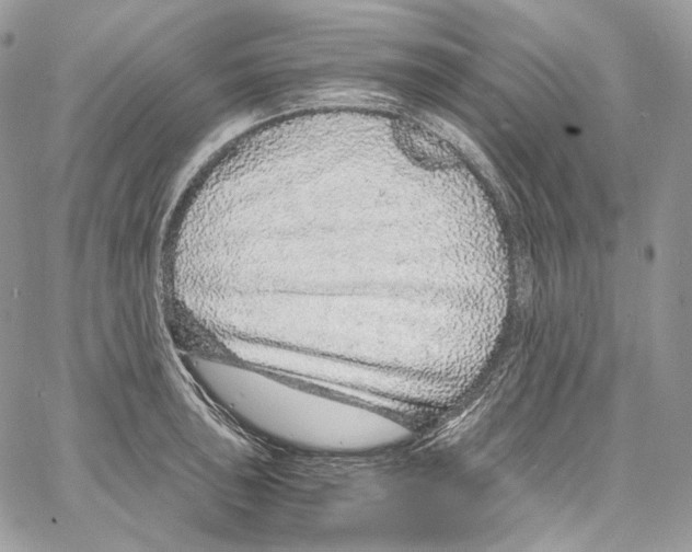 X0000067001043200604241359