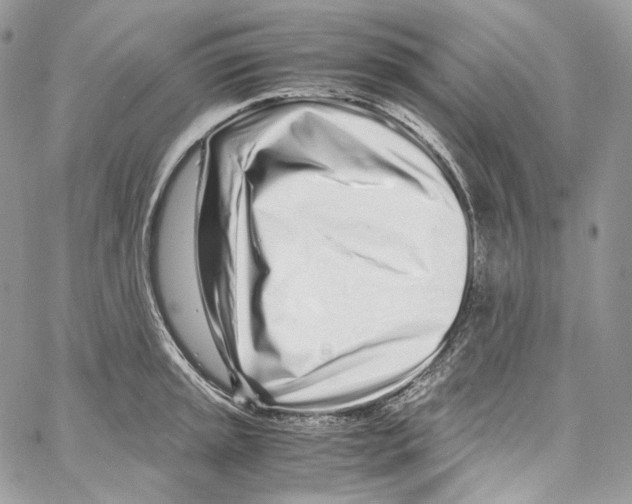 X0000067001045200604241359