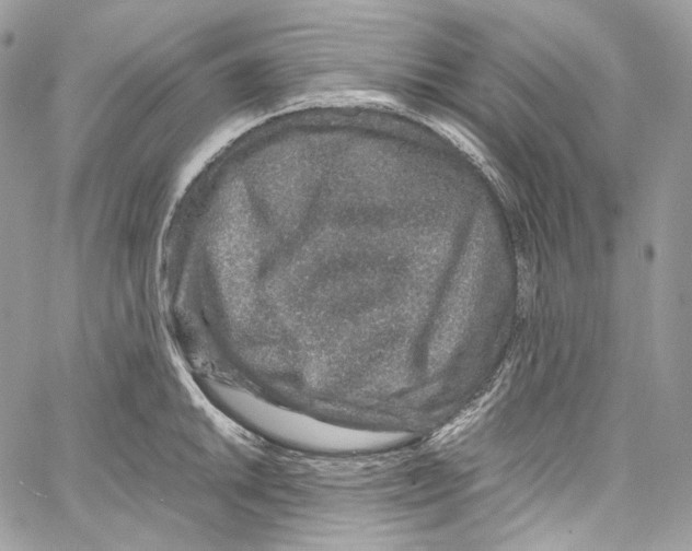 X0000067001046200604241359