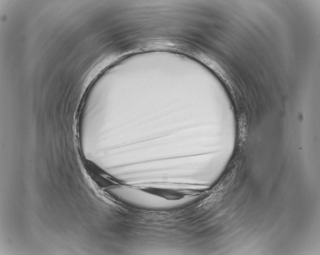 X0000067001047200604241359