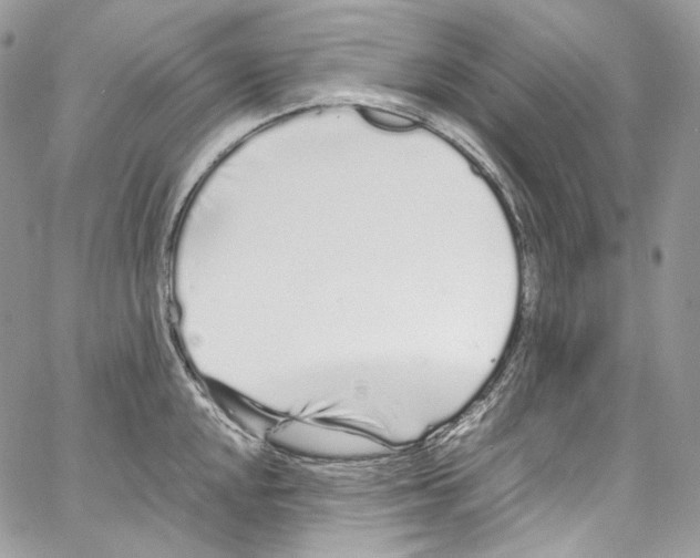 X0000067001048200604241359