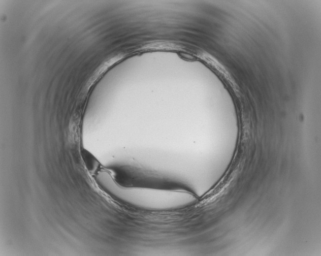 X0000067001049200604241359