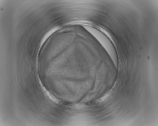 X0000067001050200604241359