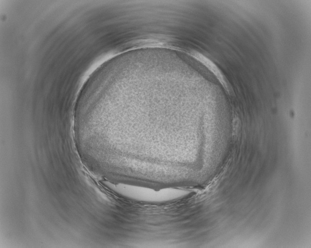 X0000067001051200604241359