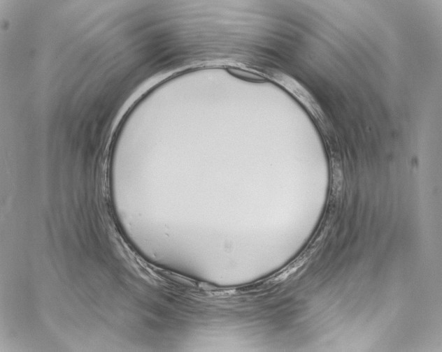 X0000067001052200604241359