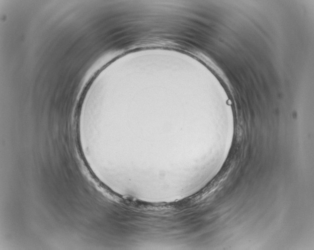 X0000067001053200604241359