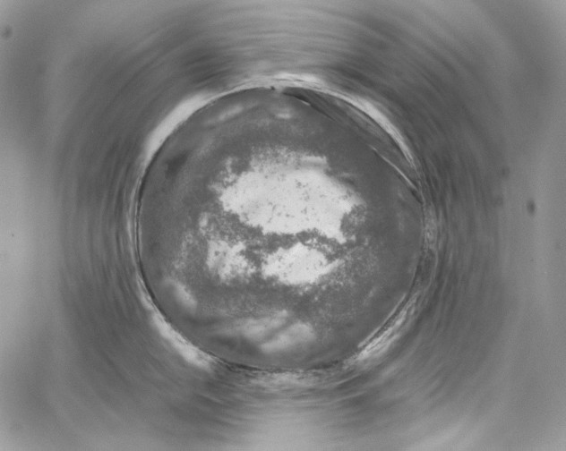 X0000067001054200604241359