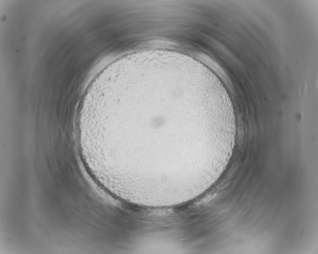 X0000067001055200604241359