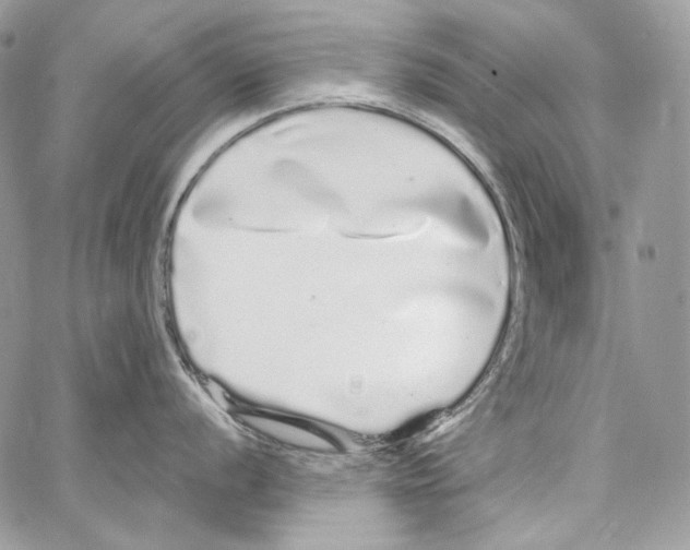 X0000067001056200604241359