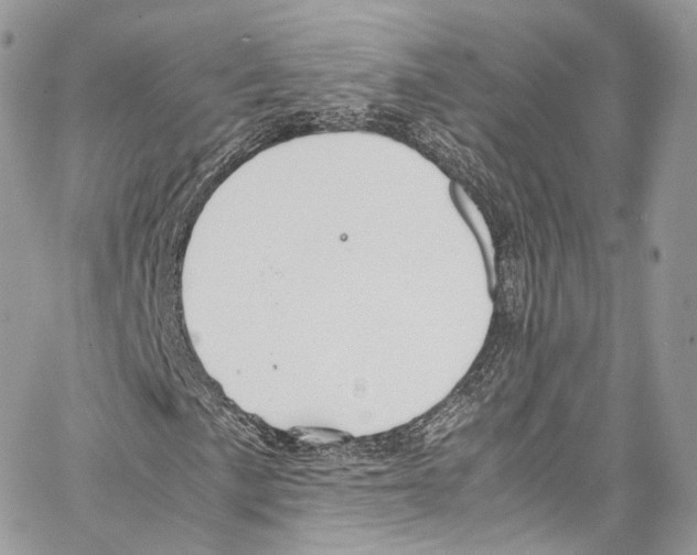 X0000067001057200604241358