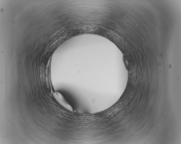 X0000067001058200604241358