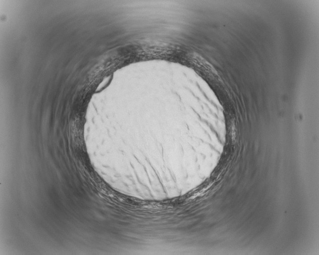 X0000067001059200604241358