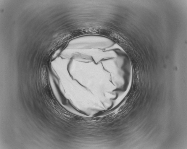 X0000067001060200604241358