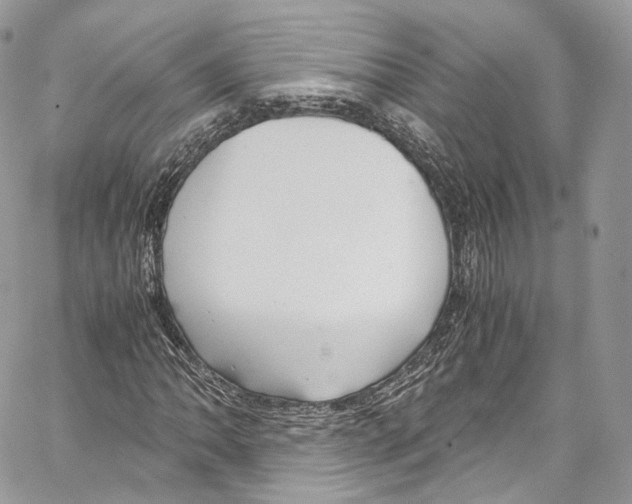 X0000067001062200604241358