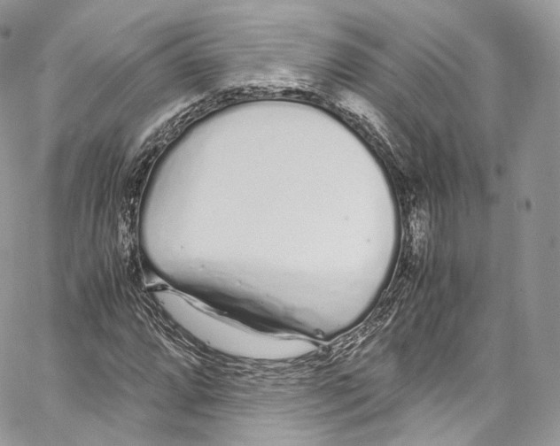 X0000067001064200604241358