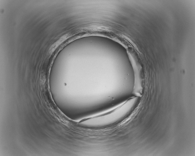 X0000067001065200604241358