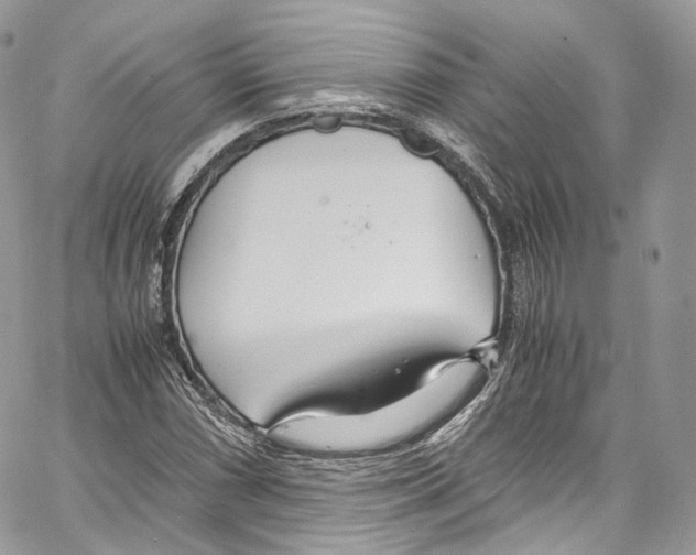 X0000067001066200604241358