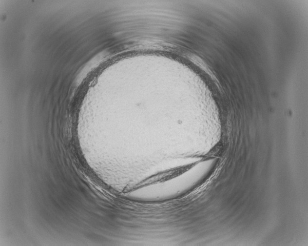 X0000067001067200604241358