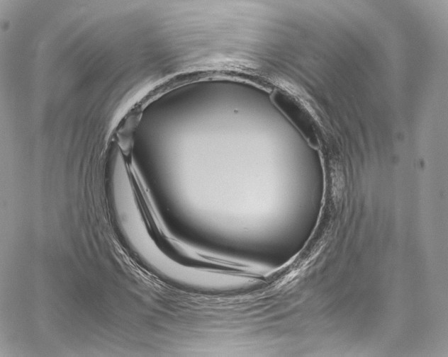 X0000067001069200604241358