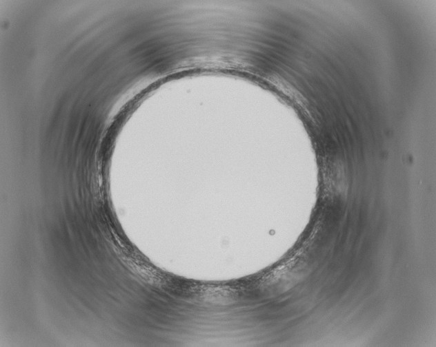 X0000067001070200604241358