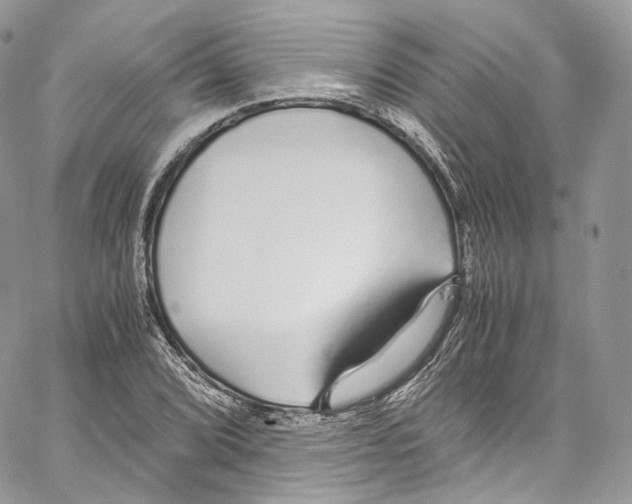 X0000067001072200604241358