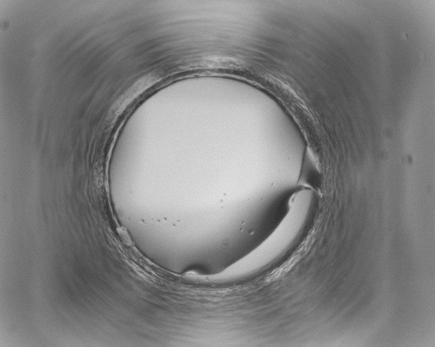 X0000067001073200604241358