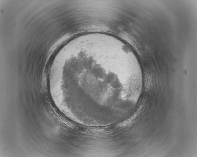 X0000067001074200604241358